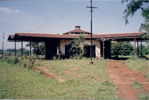 Entroncamento (Jurucê) - A estação em 17/11/1998, tomada pelo mato
